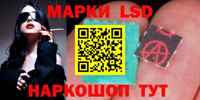 СК Краснознаменск