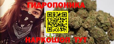 СК Краснознаменск