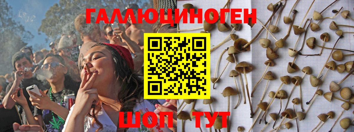 Галлюциногенные грибы мицелий  магазин  наркотиков  Кириши  Вход с VPN 